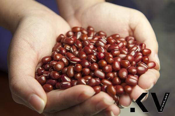 红豆。（图／Pixabay）